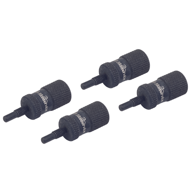 BikeService Ducati Camshaft Locking Pins (M5) - BS30011