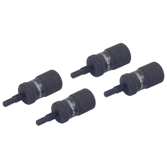 BikeService Ducati Camshaft Locking Pins (M5) - BS30011